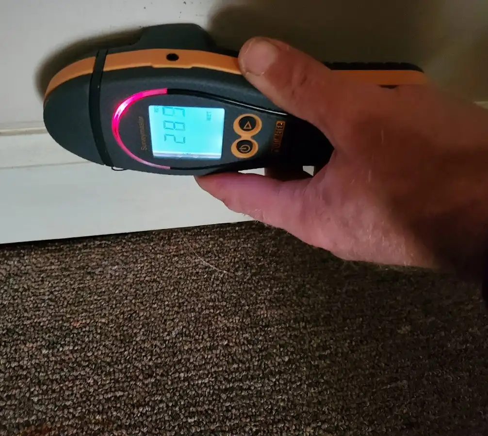 Moisture detection at baseboard during Sewage Cleanup & Sanitation in Columbia